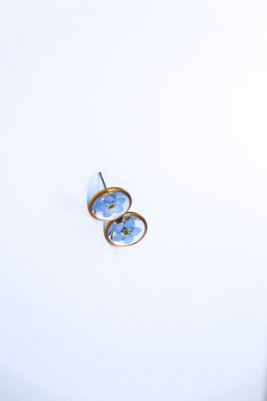 Forget Me Not Studs